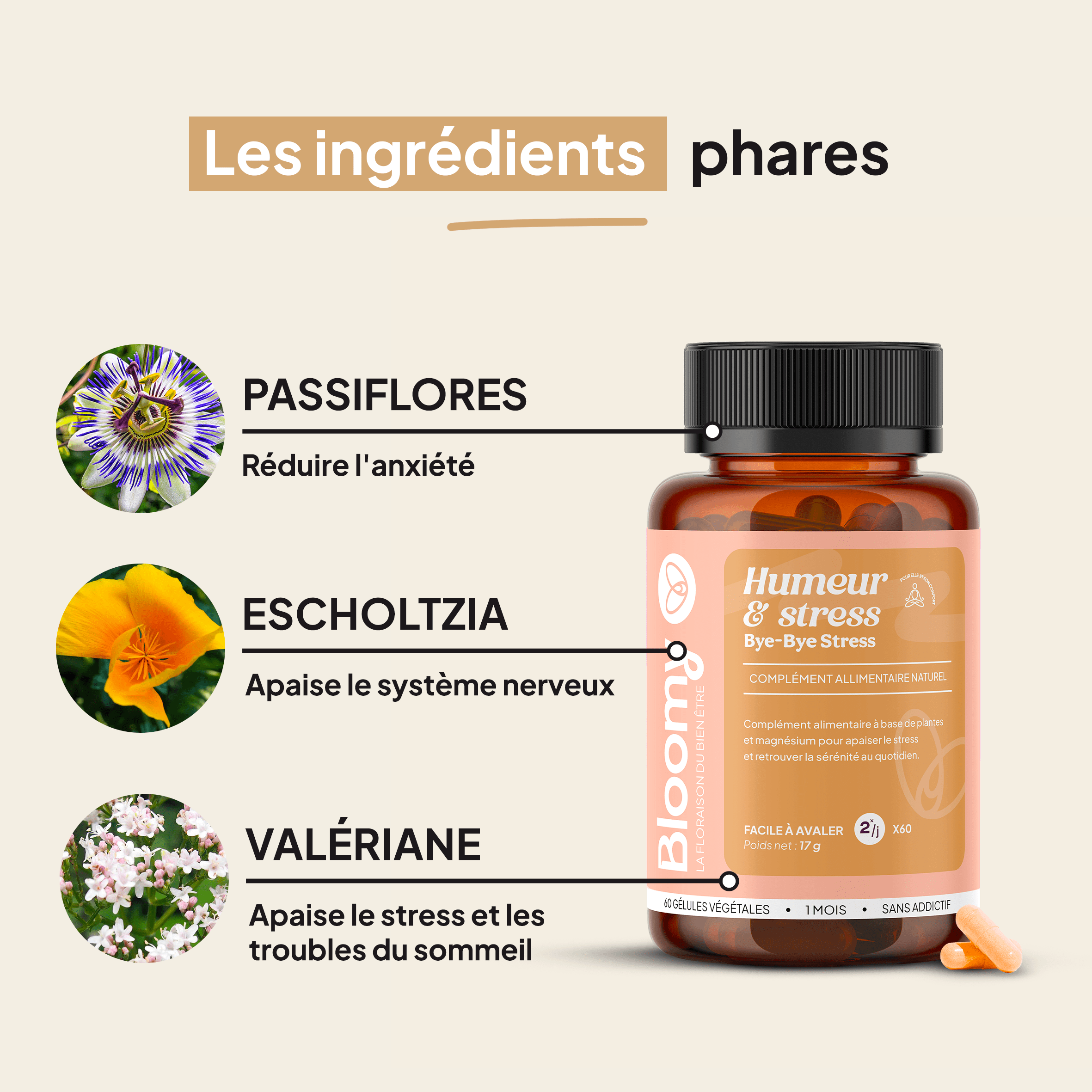 Bye Bye Stress - Humeur & Stress